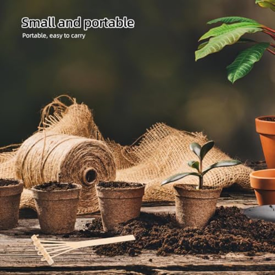 Набор мини-граблей из бамбука, – обзор и цена Bonsai Zen Garden Set
