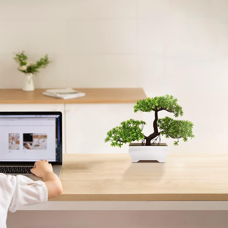 Искусственный бонсай, пластико – обзор и цена Bonsai Garden For Desk